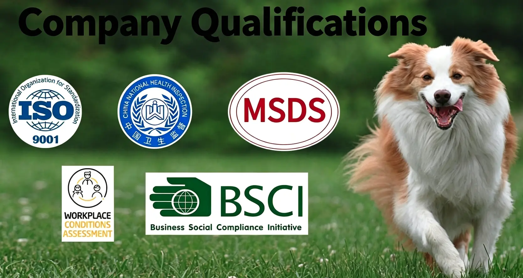 PetPet Wholesale pet care products factory in Wenzhou